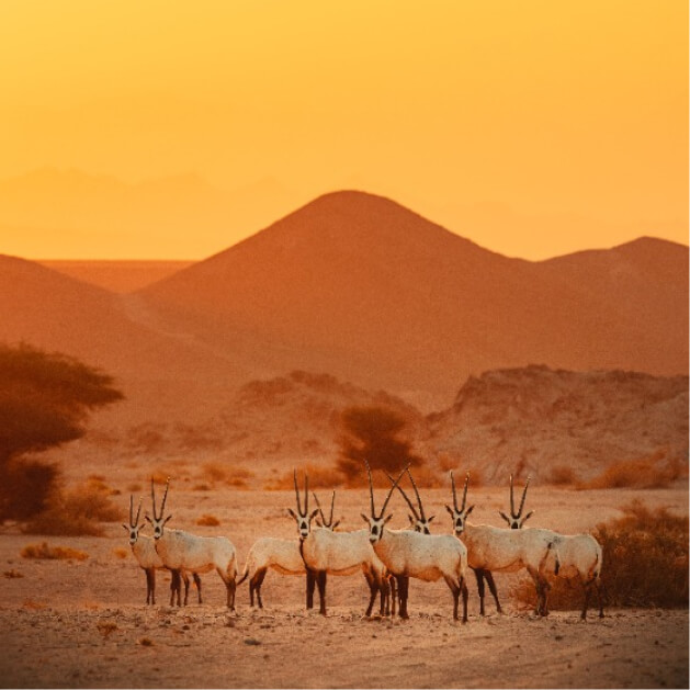 Travel Agency 27 Travel Agency