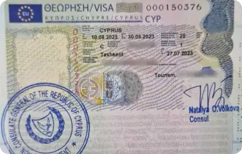 Главная