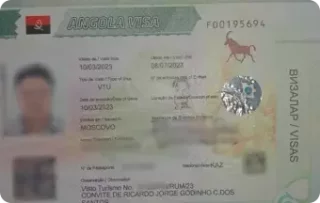 image.png (1)